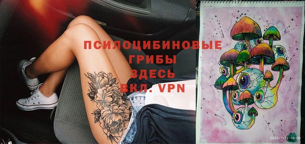 герыч Мегион