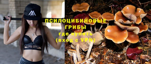 крисы Медвежьегорск