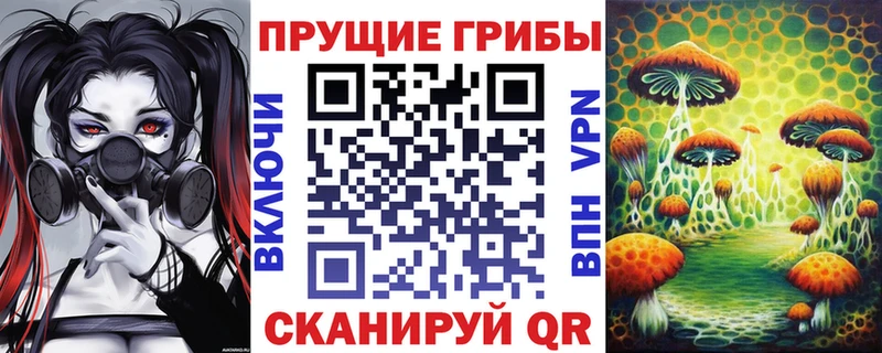 mega вход  Власиха  Галлюциногенные грибы MAGIC MUSHROOMS  где купить  